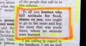 Some of them know what they are talking about, but many don't