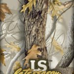 camo_ls