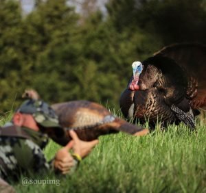 turkey hunting guide behind decoy-soupimg