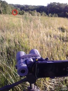 Phone Skope Review distance 