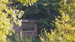 phoneskope review on binoculars