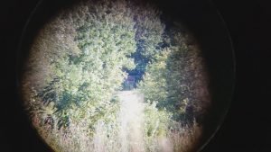 phoneskope review with binoculars zoomed out