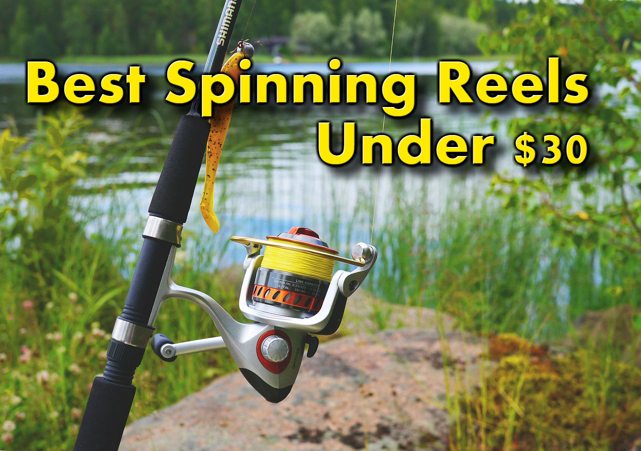 best spinning reels fishing