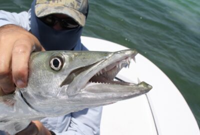 Best Fishing Places in Florida