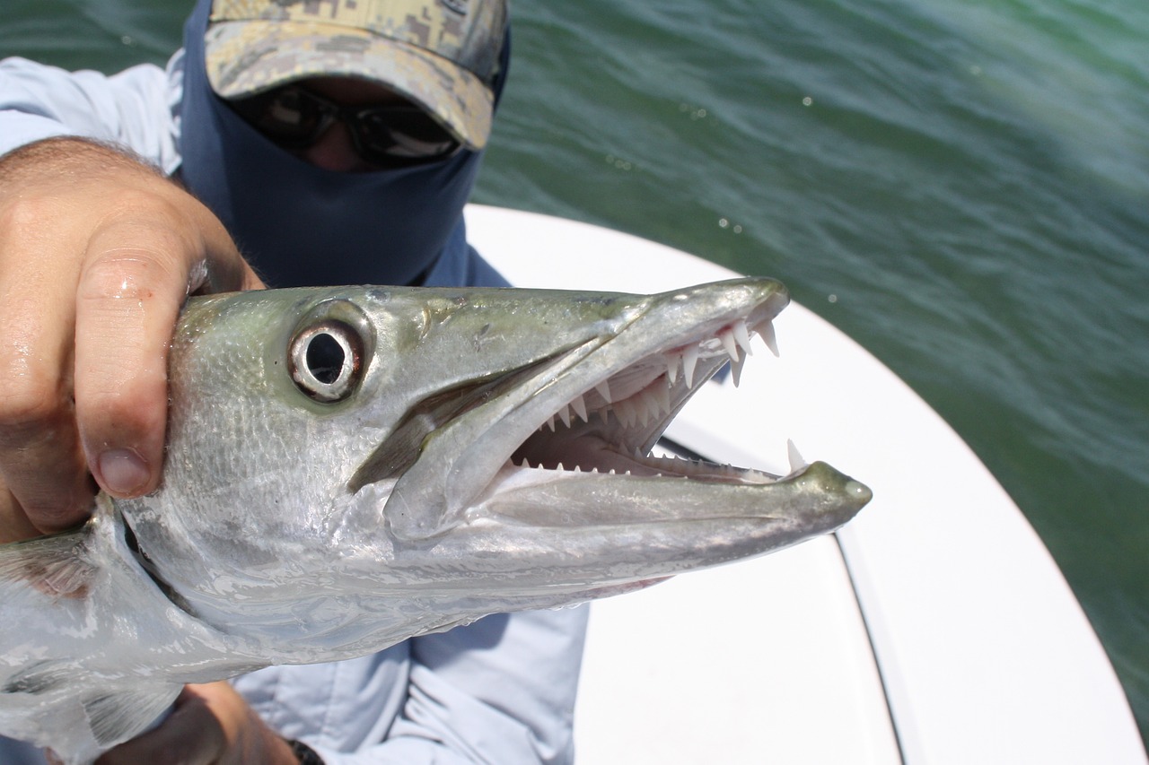 Best Fishing Places in Florida