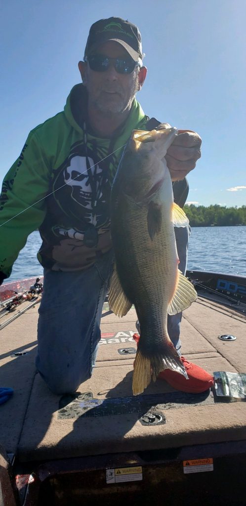 post spawn bass fishing