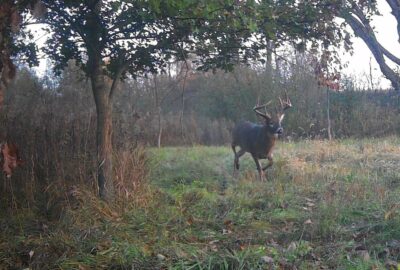 where to hunt in america