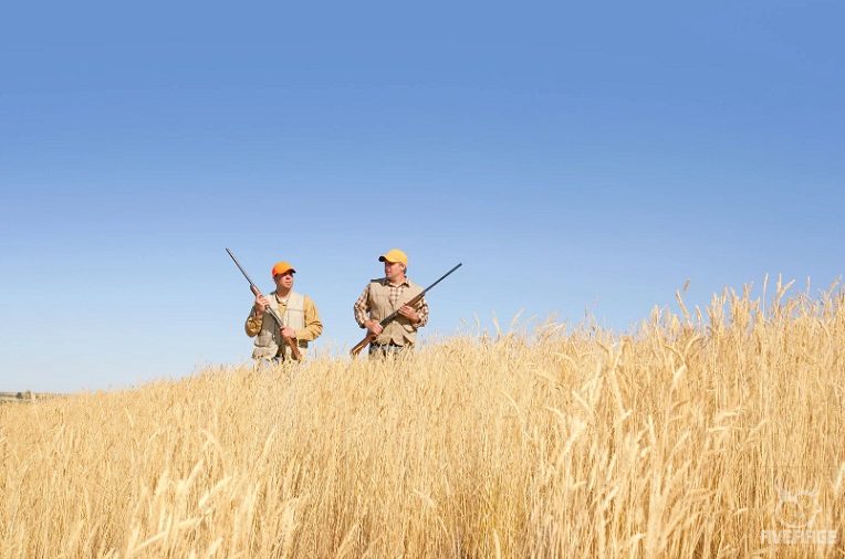 Hunting with a partner